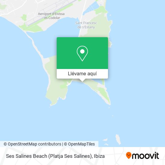 Mapa Ses Salines Beach (Platja Ses Salines)