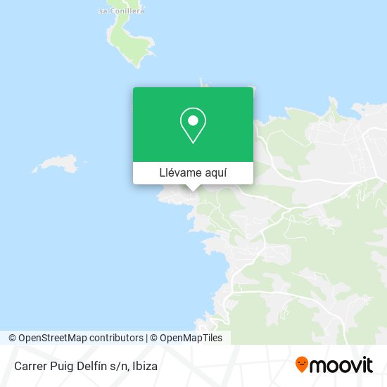 Mapa Carrer Puig Delfín s/n