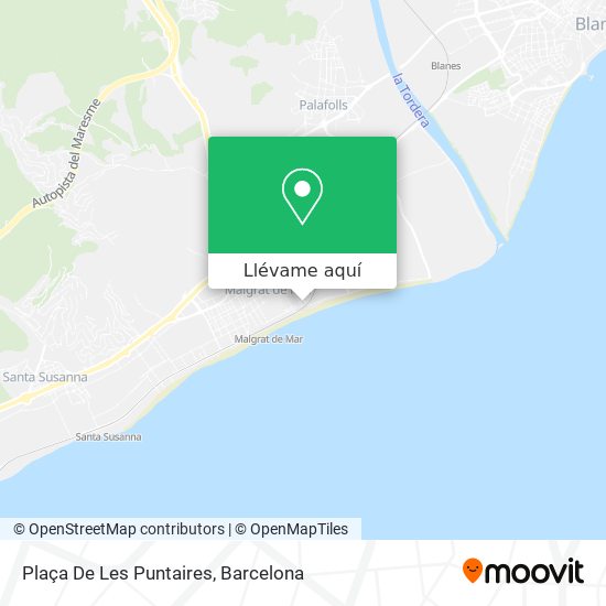 Mapa Plaça De Les Puntaires