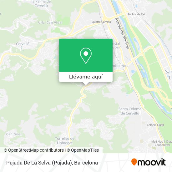 Mapa Pujada De La Selva