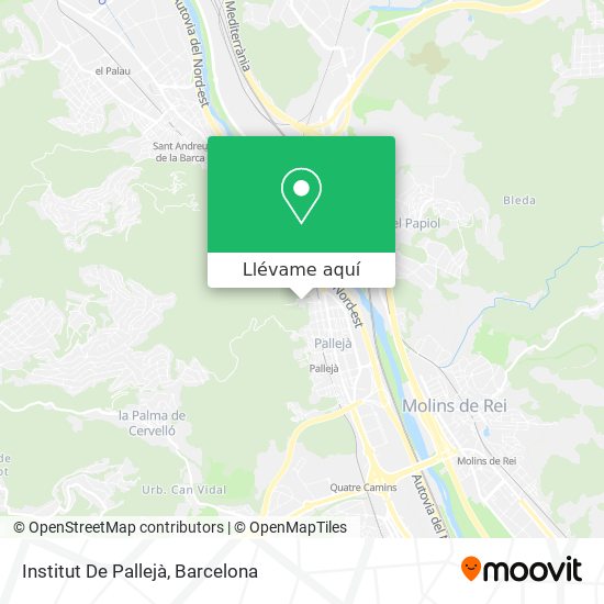 Mapa Institut De Pallejà