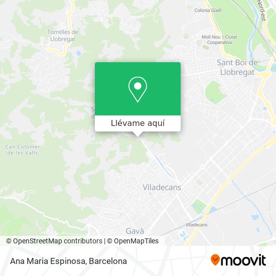 Mapa Ana Maria Espinosa