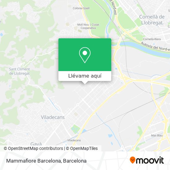 Mapa Mammafiore Barcelona