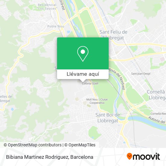 Mapa Bibiana Martinez Rodriguez