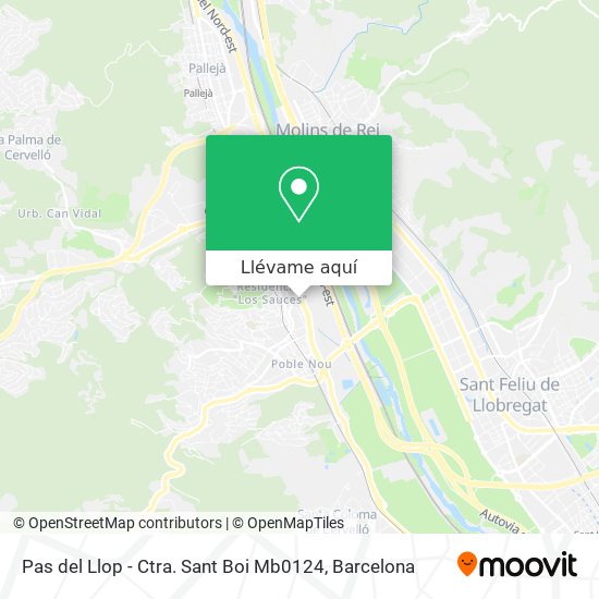 Mapa Pas del Llop - Ctra. Sant Boi Mb0124