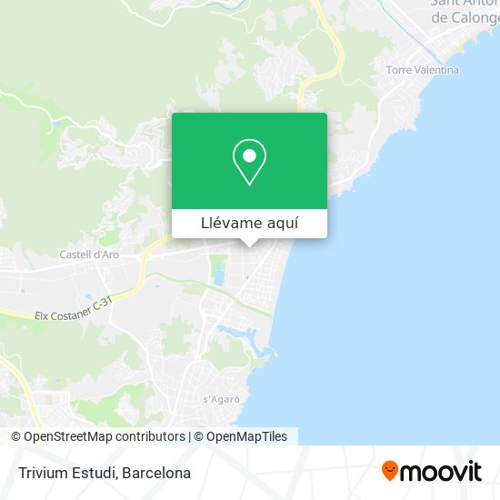 Mapa Trivium Estudi
