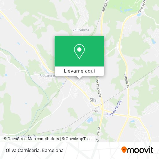 Mapa Oliva Carniceria