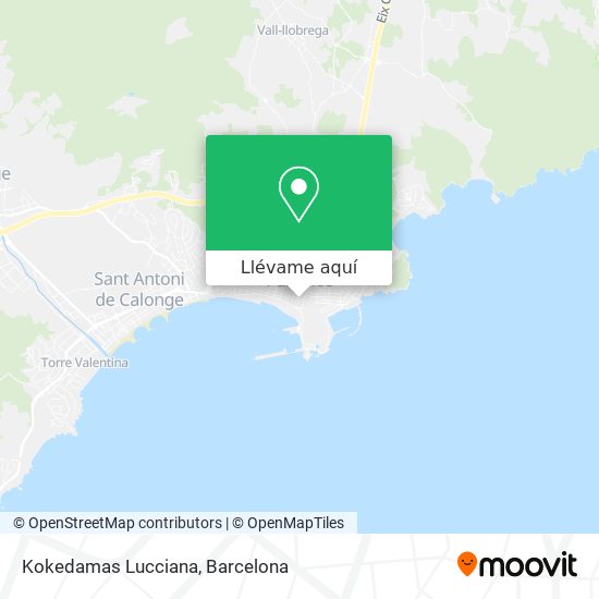 Mapa Kokedamas Lucciana
