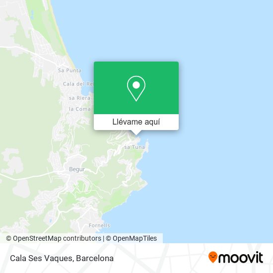Mapa Cala Ses Vaques