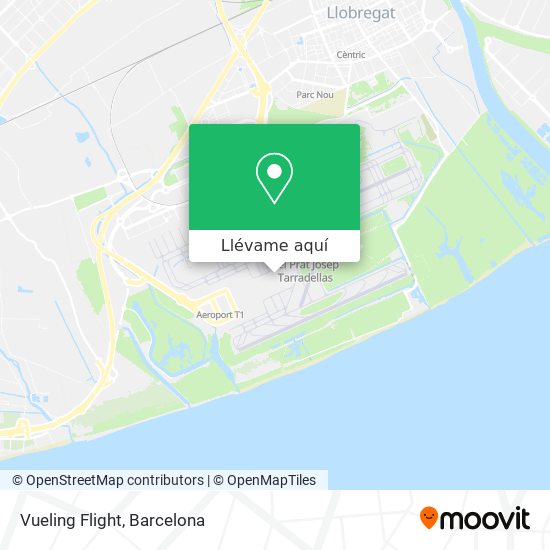 Mapa Vueling Flight