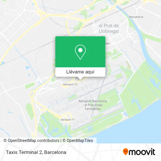 Mapa Taxis Terminal 2