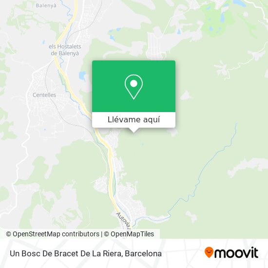 Mapa Un Bosc De Bracet De La Riera