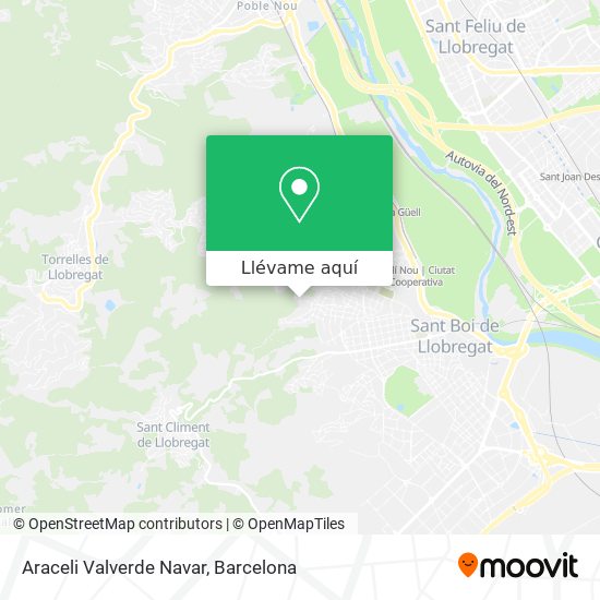 Mapa Araceli Valverde Navar