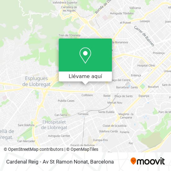 Mapa Cardenal Reig - Av St Ramon Nonat