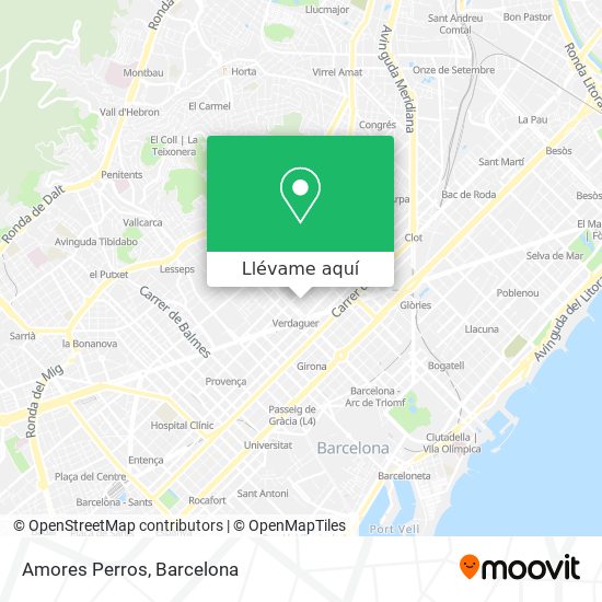Mapa Amores Perros