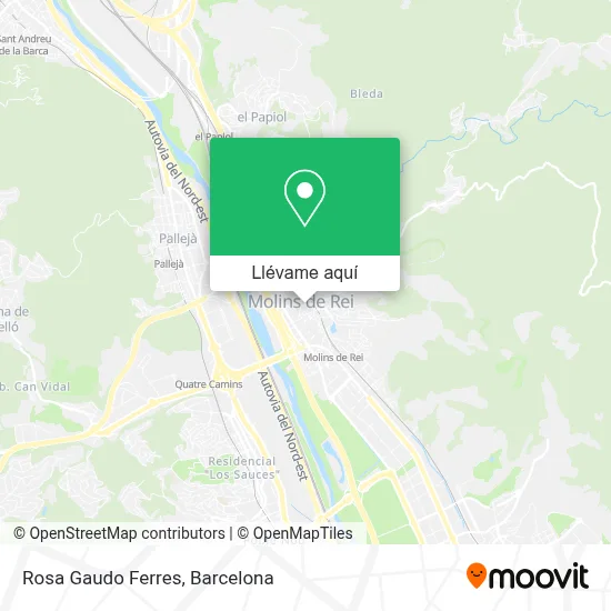 Mapa Rosa Gaudo Ferres