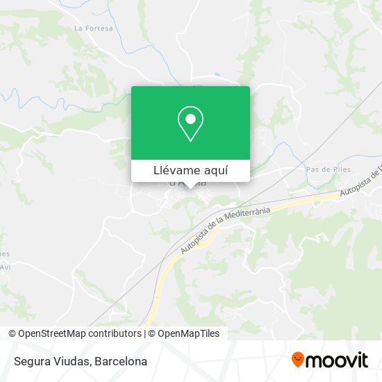 Mapa Segura Viudas