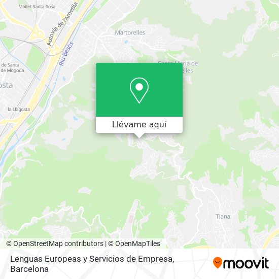 Mapa Lenguas Europeas y Servicios de Empresa