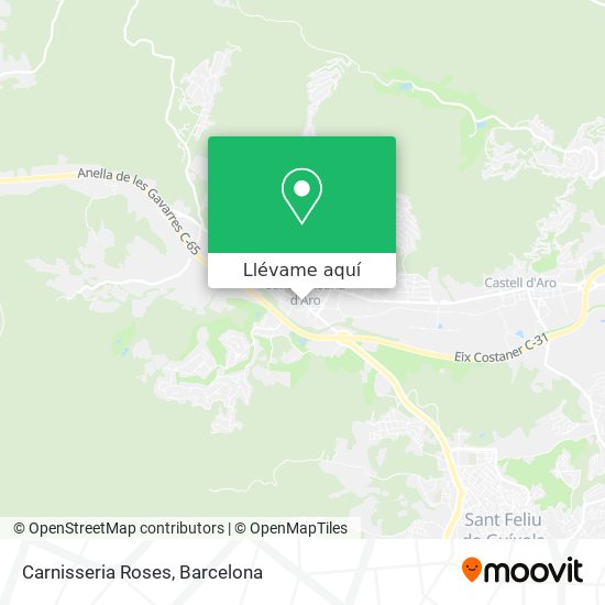 Mapa Carnisseria Roses