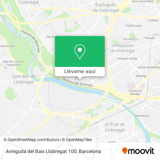 Mapa Avinguda del Baix Llobregat 100