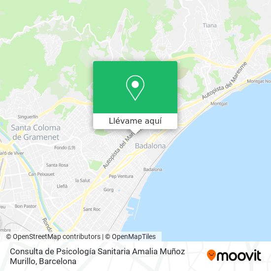 Mapa Consulta de Psicología Sanitaria Amalia Muñoz Murillo