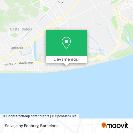 Mapa Salvaje by Fosbury