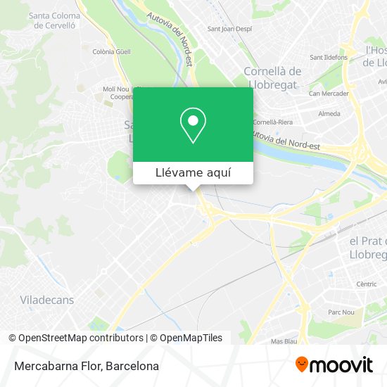Mapa Mercabarna Flor