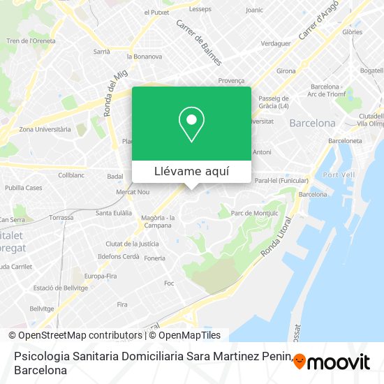 Mapa Psicologia Sanitaria Domiciliaria Sara Martinez Penin