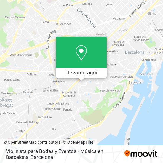 Mapa Violinista para Bodas y Eventos - Música en Barcelona