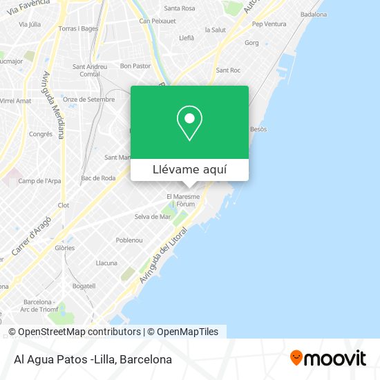 Mapa Al Agua Patos -Lilla
