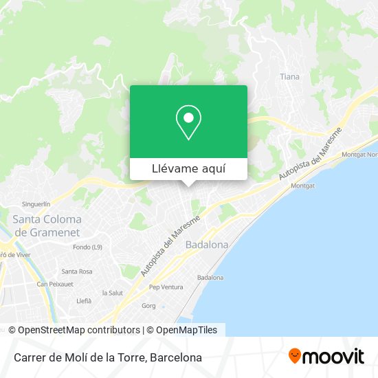 Mapa Carrer de Molí de la Torre