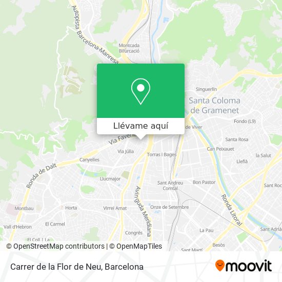 Mapa Carrer de la Flor de Neu