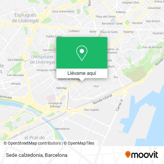 Mapa Sede calzedonia