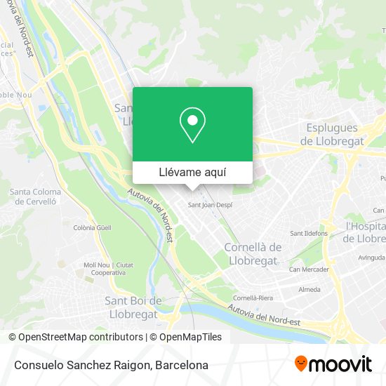 Mapa Consuelo Sanchez Raigon