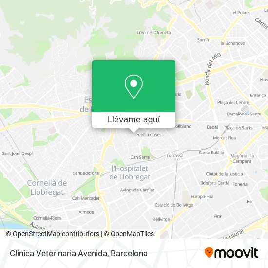 Mapa Clinica Veterinaria Avenida