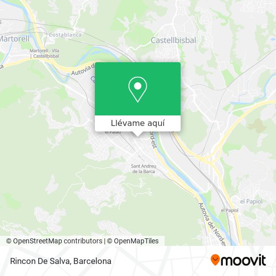 Mapa Rincon De Salva