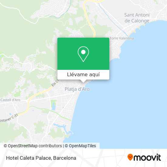 Mapa Hotel Caleta Palace