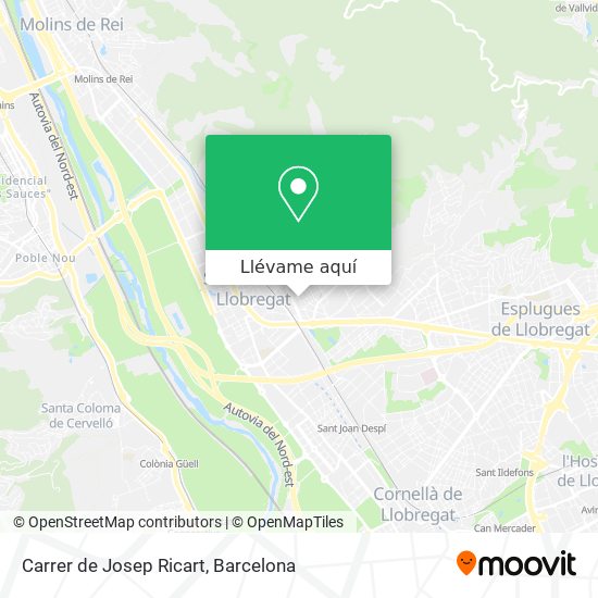 Mapa Carrer de Josep Ricart