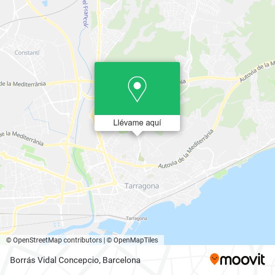 Mapa Borrás Vidal Concepcio