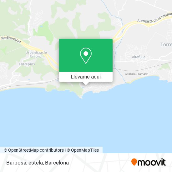 Mapa Barbosa, estela