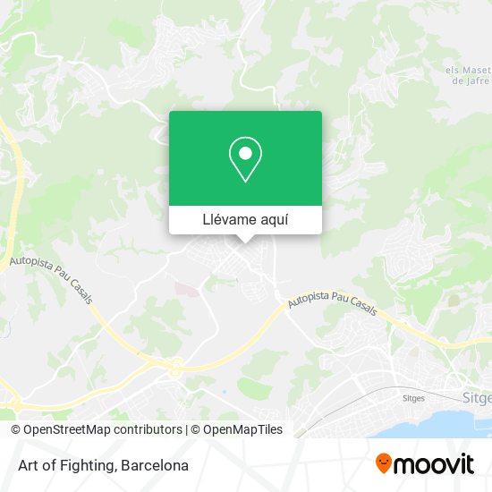 Mapa Art of Fighting