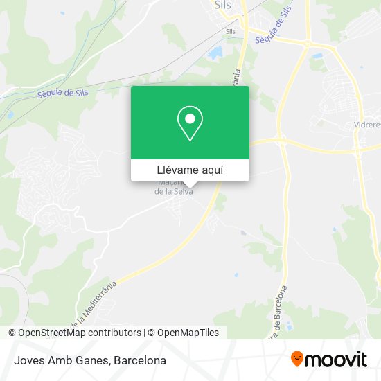 Mapa Joves Amb Ganes