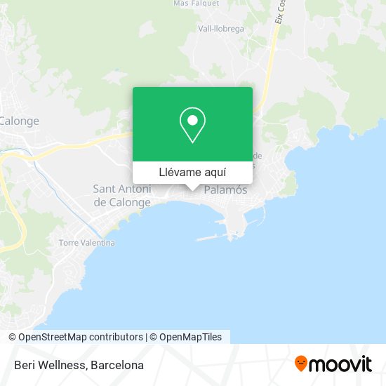 Mapa Beri Wellness