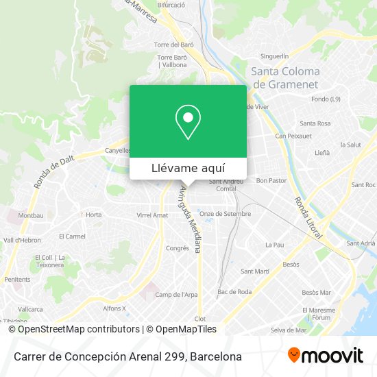 Mapa Carrer de Concepción Arenal 299