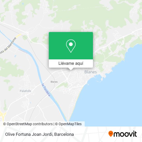 Mapa Olive Fortuna Joan Jordi