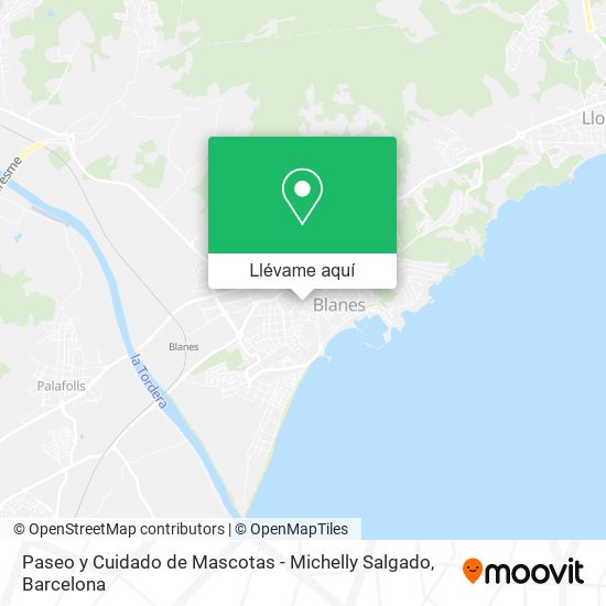 Mapa Paseo y Cuidado de Mascotas - Michelly Salgado