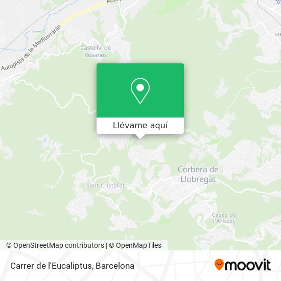 Mapa Carrer de l'Eucaliptus