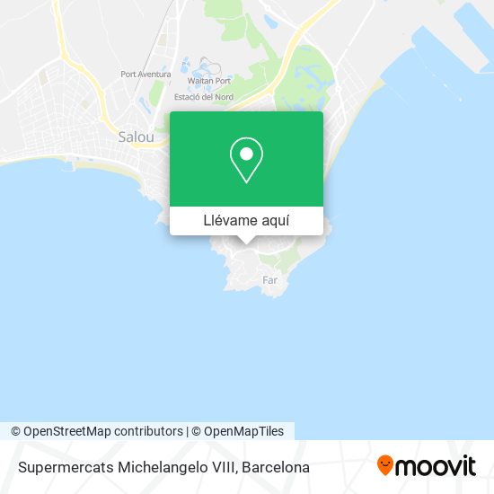 Mapa Supermercats Michelangelo VIII