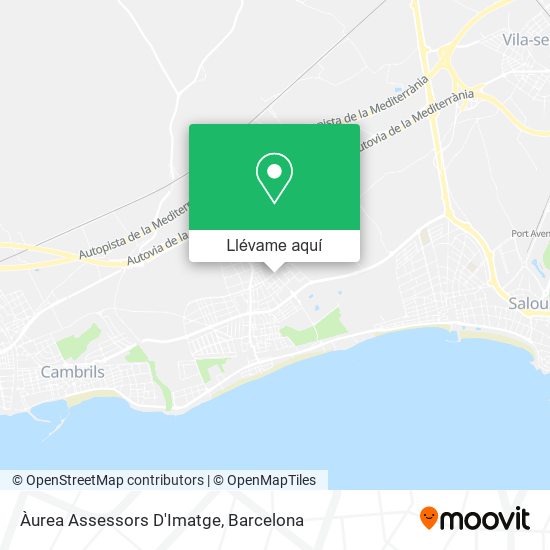 Mapa Àurea Assessors D'Imatge