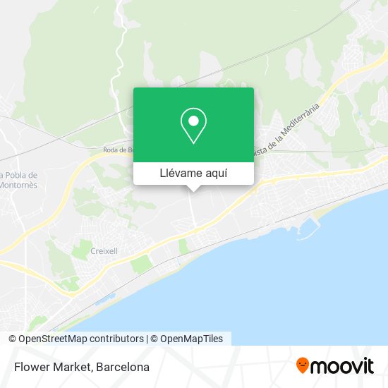 Mapa Flower Market